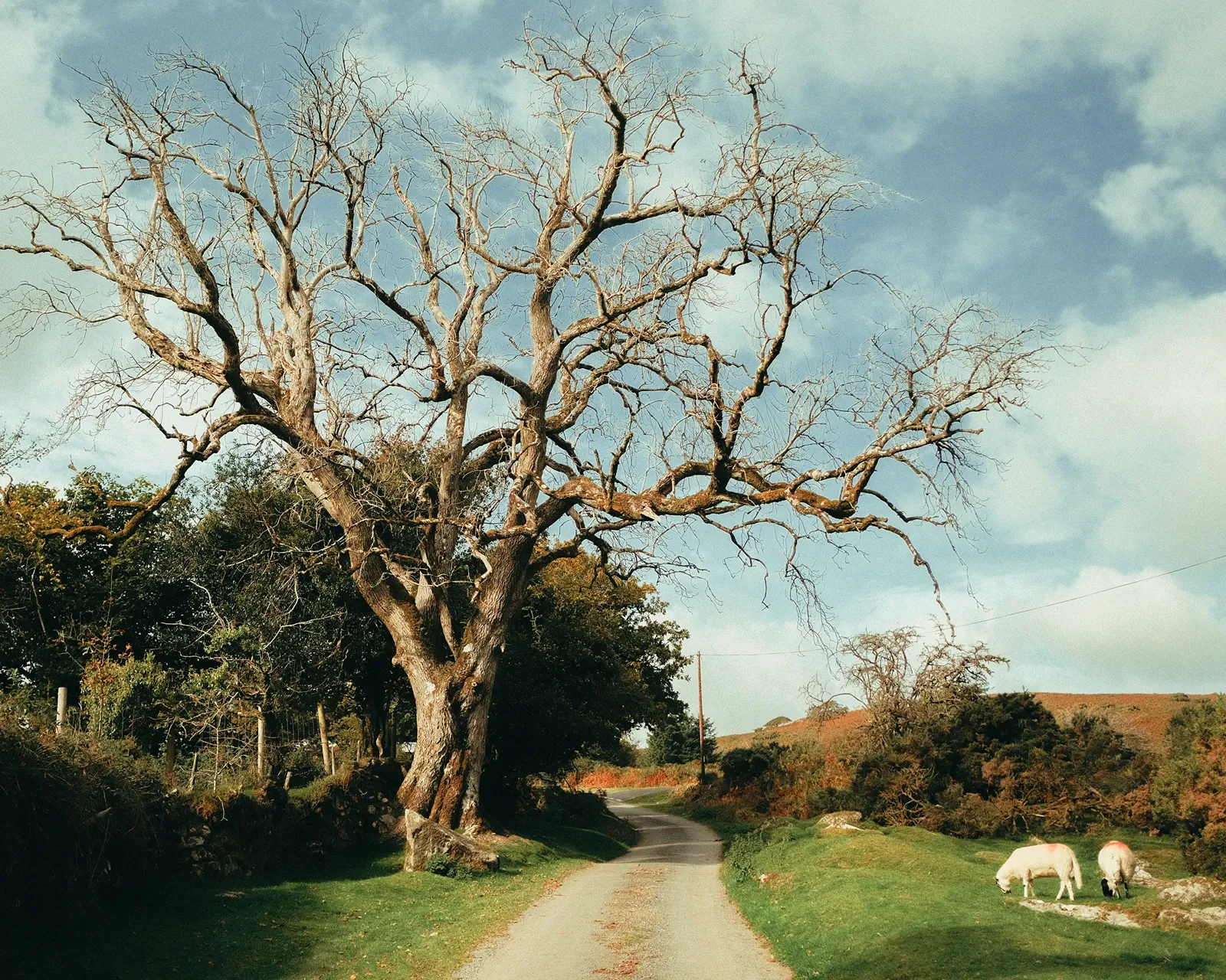 Jorge Jobim photography